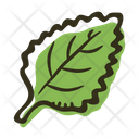 پیش‌نمایش فایل mint-leaf-1718901 از پک ادویه های رنگی