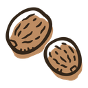 پیش‌نمایش فایل nutmeg-1718990 از پک ادویه های رنگی