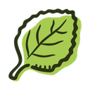 پیش‌نمایش فایل oregano-leaf-1718896 از پک ادویه های رنگی