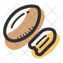 پیش‌نمایش فایل pecan-1738891 از پک آجیل