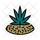 پیش‌نمایش فایل marijuana-5404806 از پک دارو، آزمون، معاینه و دستگاه