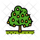 پیش‌نمایش فایل pear-tree-5890721 از پک گلابی و میوه