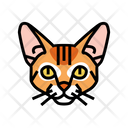پیش‌نمایش فایل abyssinian-cat-6055193 از پک گربه، حیوان خانگی، حیوان، بچه‌گربه و بامزه – سبک فانتزی