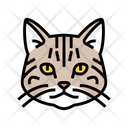 پیش‌نمایش فایل american-cat-6055194 از پک گربه، حیوان خانگی، حیوان، بچه‌گربه و بامزه – سبک فانتزی