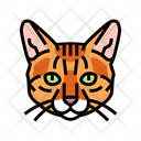 پیش‌نمایش فایل bengal-cat-6055195 از پک گربه، حیوان خانگی، حیوان، بچه‌گربه و بامزه – سبک فانتزی