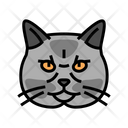 پیش‌نمایش فایل british-cat-6055197 از پک گربه، حیوان خانگی، حیوان، بچه‌گربه و بامزه – سبک فانتزی