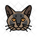 پیش‌نمایش فایل burmese-cat-6055198 از پک گربه، حیوان خانگی، حیوان، بچه‌گربه و بامزه – سبک فانتزی