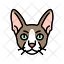 پیش‌نمایش فایل cornish-cat-6055199 از پک گربه، حیوان خانگی، حیوان، بچه‌گربه و بامزه – سبک فانتزی