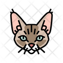پیش‌نمایش فایل devon-cat-6055200 از پک گربه، حیوان خانگی، حیوان، بچه‌گربه و بامزه – سبک فانتزی