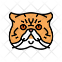 پیش‌نمایش فایل exotic-cat-6055201 از پک گربه، حیوان خانگی، حیوان، بچه‌گربه و بامزه – سبک فانتزی