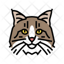 پیش‌نمایش فایل norwegian-cat-6055203 از پک گربه، حیوان خانگی، حیوان، بچه‌گربه و بامزه – سبک فانتزی