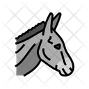 پیش‌نمایش فایل donkey-6457287 از پک حیوان، باغ‌وحش، طبیعت و حیات وحش