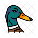 پیش‌نمایش فایل duck-6457288 از پک حیوان، باغ‌وحش، طبیعت و حیات وحش