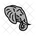 پیش‌نمایش فایل elephant-6457289 از پک حیوان، باغ‌وحش، طبیعت و حیات وحش