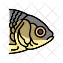 پیش‌نمایش فایل fish-6457290 از پک حیوان، باغ‌وحش، طبیعت و حیات وحش