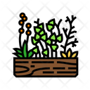 پیش‌نمایش فایل herbs-11719672 از پک شهری، باغبانی، کشاورزی و سبز