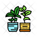 پیش‌نمایش فایل indoor-plants-11719674 از پک شهری، باغبانی، کشاورزی و سبز