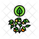 پیش‌نمایش فایل organic-gardening-11719676 از پک شهری، باغبانی، کشاورزی و سبز