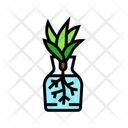 پیش‌نمایش فایل plant-11719678 از پک شهری، باغبانی، کشاورزی و سبز
