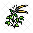 پیش‌نمایش فایل pruning-11719680 از پک شهری، باغبانی، کشاورزی و سبز
