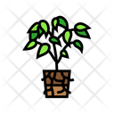 آیکن