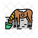 پیش‌نمایش فایل feeding-14537255 از پک اسب، پرورش و کوستریان