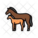 پیش‌نمایش فایل foal-14537256 از پک اسب، پرورش و کوستریان