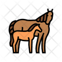 پیش‌نمایش فایل foal-14537257 از پک اسب، پرورش و کوستریان