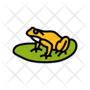 پیش‌نمایش فایل frog-14299281 از پک چند، سپکیس و خانه