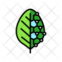 پیش‌نمایش فایل biotech-leaf-13429816 از پک کشاورزی هوشمند، پهپاد و اینترنت اشیا