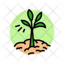 پیش‌نمایش فایل growing-plant-12107310 از پک رشد و روند صعودی کسب‌وکار