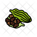 پیش‌نمایش فایل cardamom-pods-12633328 از پک گیاهان دارویی آیورودا