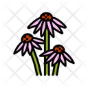 پیش‌نمایش فایل echinacea-ayurvedic-12633330 از پک گیاهان دارویی آیورودا