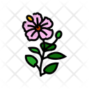 پیش‌نمایش فایل hibiscus-12633335 از پک گیاهان دارویی آیورودا