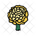 پیش‌نمایش فایل composite-flower-bouquet-12633348 از پک دسته‌گل عروسی و هدیه