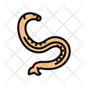پیش‌نمایش فایل hookworm-parasite-12633431 از پک کرم‌های انگلی و نماتد