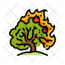 پیش‌نمایش فایل burning-bush-12912032 از پک آتش‌سوزی جنگلی و حریق