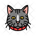 پیش‌نمایش فایل cat-collar-13429153 از پک پرورش و ژنتیک گربه