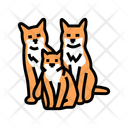 پیش‌نمایش فایل cat-family-13429154 از پک پرورش و ژنتیک گربه