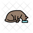 پیش‌نمایش فایل cat-food-13429155 از پک پرورش و ژنتیک گربه