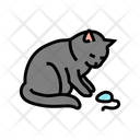 پیش‌نمایش فایل cat-toy-13429167 از پک پرورش و ژنتیک گربه