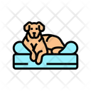 پیش‌نمایش فایل dog-bed-13429171 از پک پرورش، ژنتیک و شجره سگ