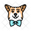 پیش‌نمایش فایل dog-bowtie-13429172 از پک پرورش، ژنتیک و شجره سگ