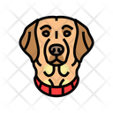 پیش‌نمایش فایل dog-collar-13429174 از پک پرورش، ژنتیک و شجره سگ