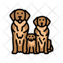 پیش‌نمایش فایل dog-family-13429175 از پک پرورش، ژنتیک و شجره سگ