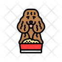 پیش‌نمایش فایل dog-food-13429176 از پک پرورش، ژنتیک و شجره سگ