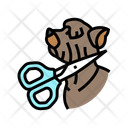 پیش‌نمایش فایل dog-grooming-13429177 از پک پرورش، ژنتیک و شجره سگ