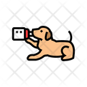 پیش‌نمایش فایل dog-milk-13429181 از پک پرورش، ژنتیک و شجره سگ
