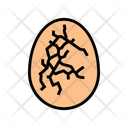 پیش‌نمایش فایل cracked-eggshell-13429522 از پک شکستگی و آسیب استخوان