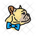پیش‌نمایش فایل dog-bowtie-14828946 از پک نمایش و مسابقه نژادهای سگ